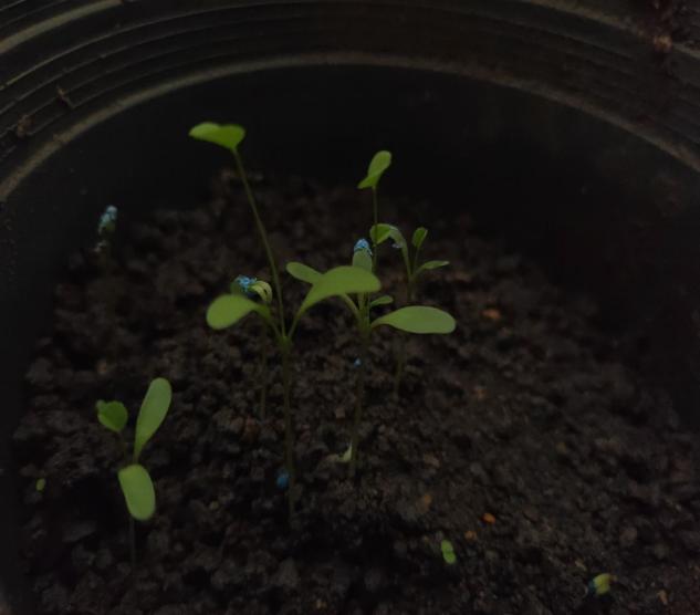 785d4d2c15ee4b1aa191961f69a65ebe.jpg taptap